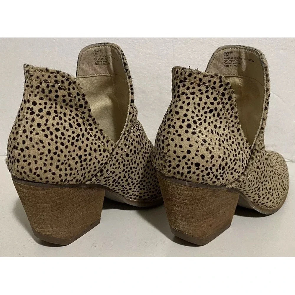 Coconuts by Matisse coconuts by